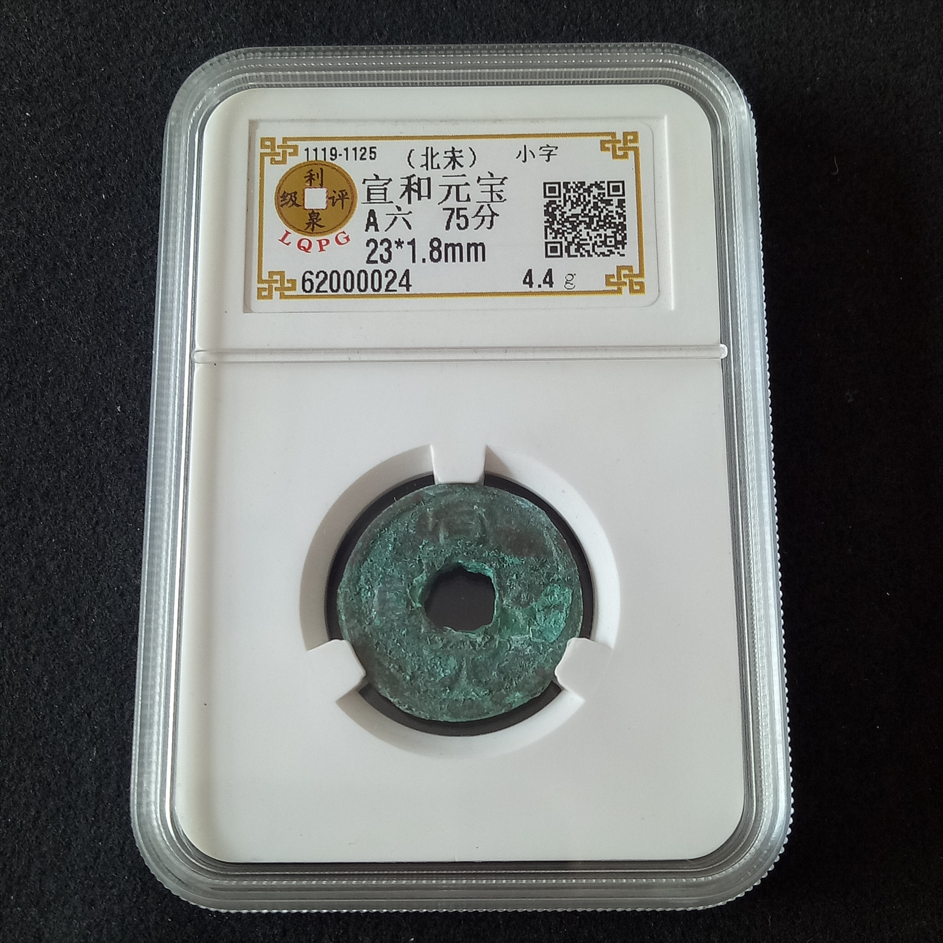 62000024