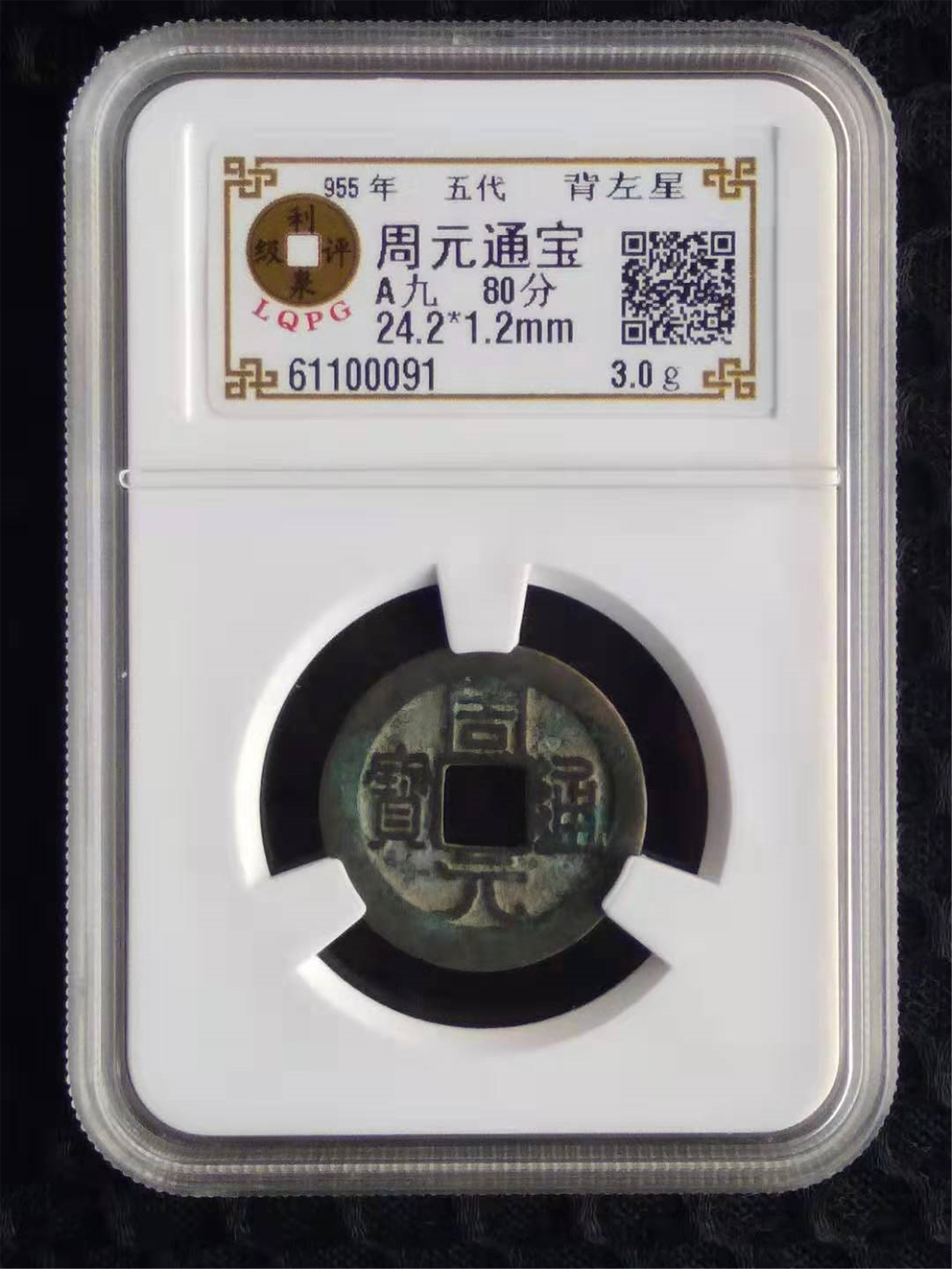 61100091