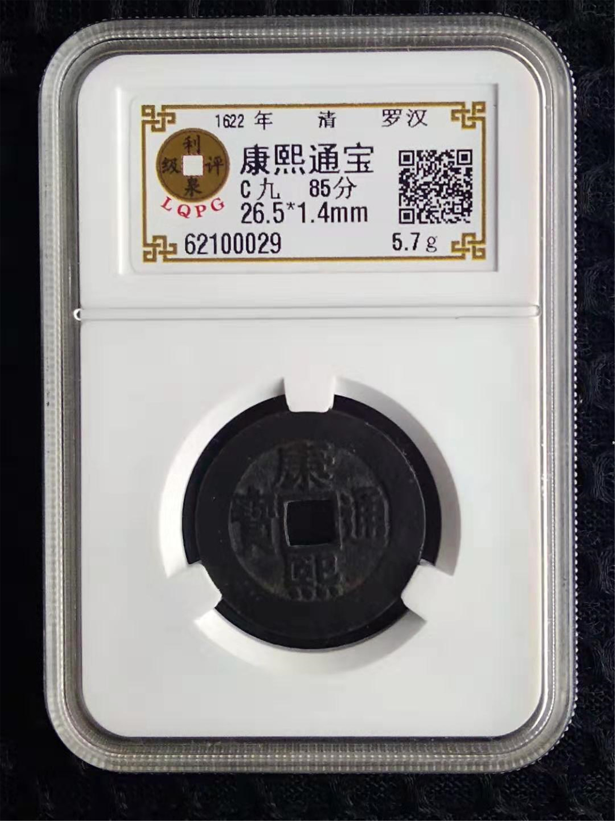 62100029